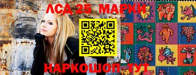 спайс Гусев